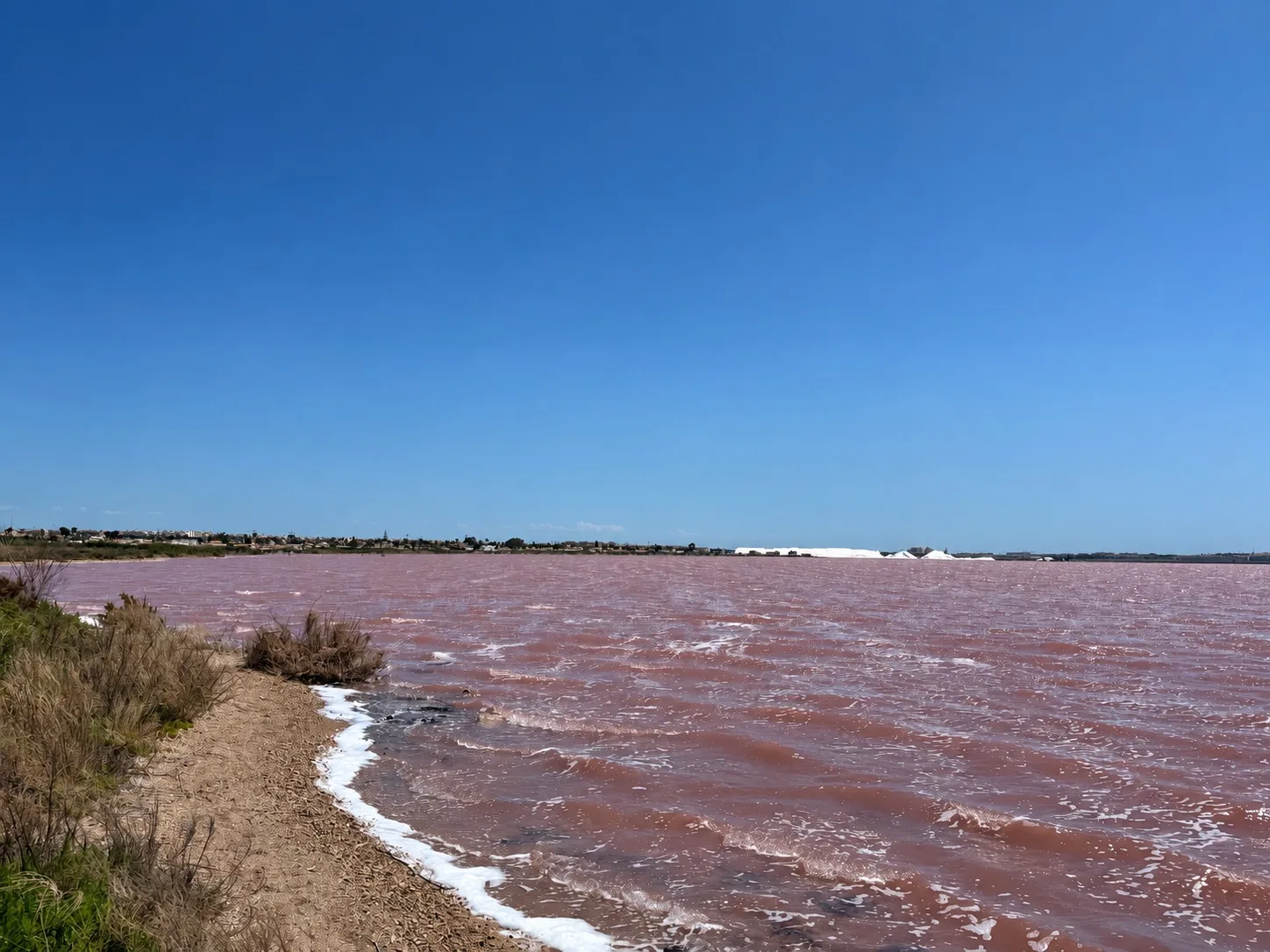 Laguna rosa